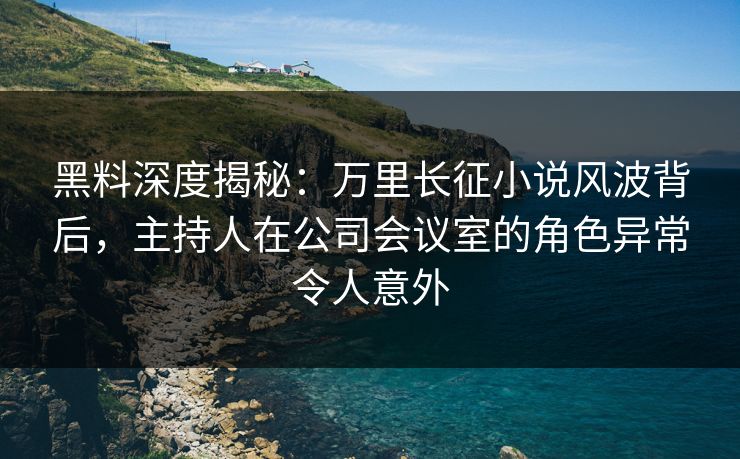 黑料深度揭秘：万里长征小说风波背后，主持人在公司会议室的角色异常令人意外