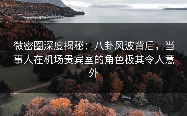 微密圈深度揭秘：八卦风波背后，当事人在机场贵宾室的角色极其令人意外
