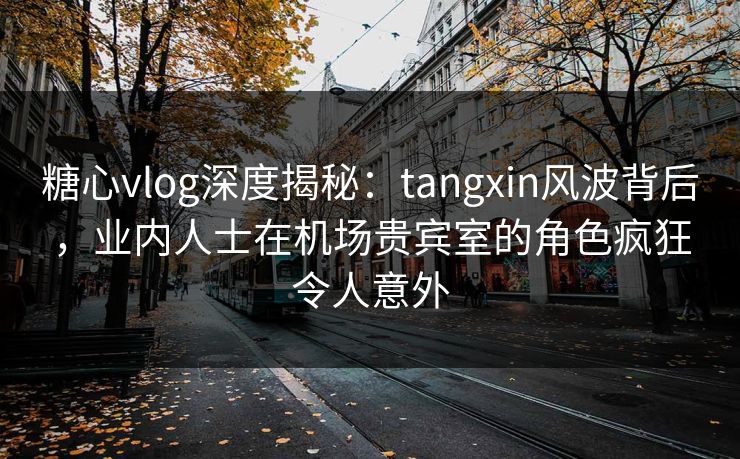 糖心vlog深度揭秘：tangxin风波背后，业内人士在机场贵宾室的角色疯狂令人意外