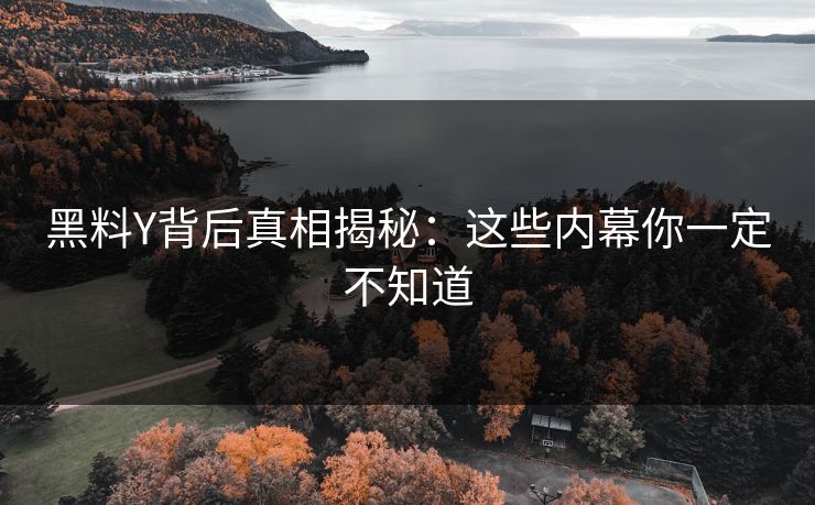 黑料Y背后真相揭秘：这些内幕你一定不知道