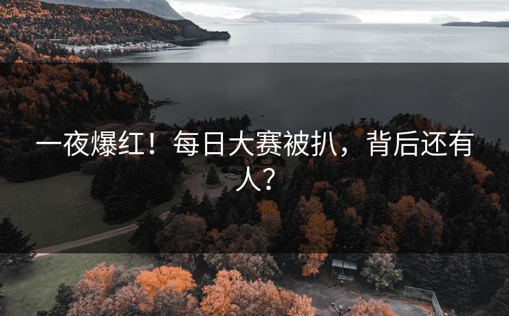 一夜爆红！每日大赛被扒，背后还有人？