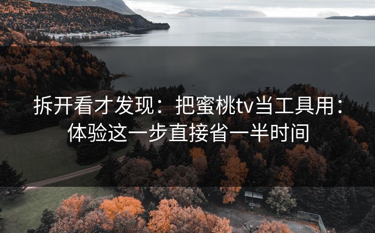 拆开看才发现：把蜜桃tv当工具用：体验这一步直接省一半时间